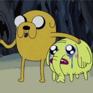 Meet your Posher, Dianna